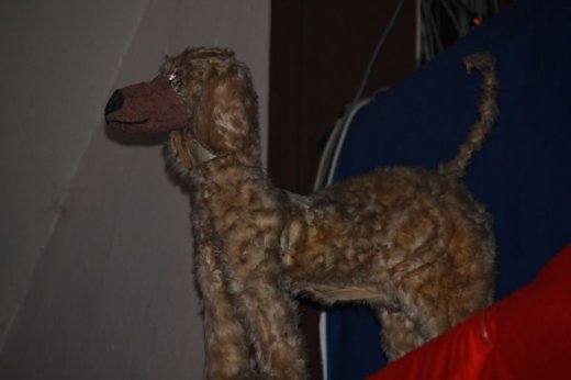 Zufälliges Foto zur Galerie 2012 nicht gefunden